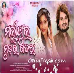 Maliphula Mudar Gajara